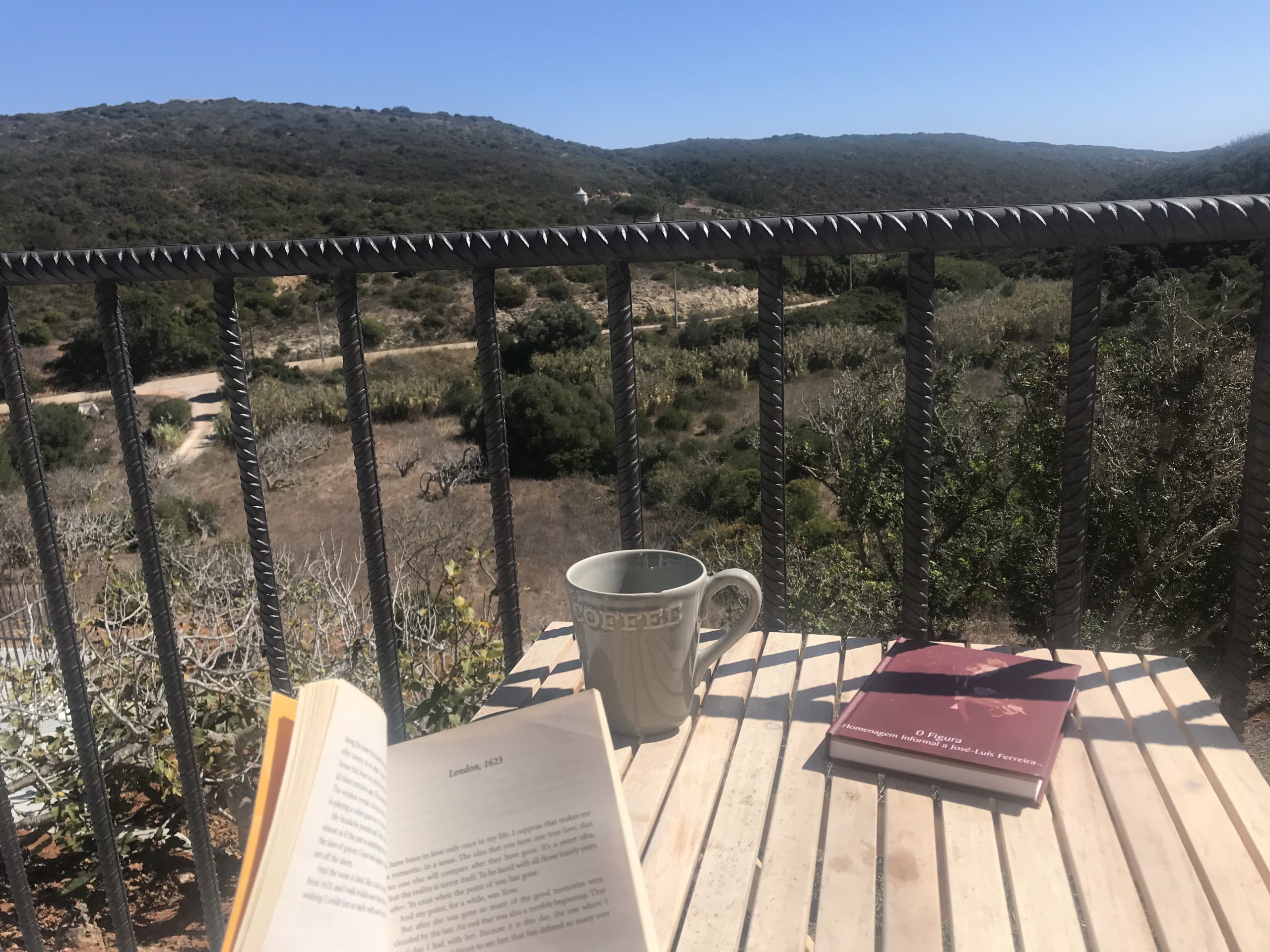 MAR balcony - coffee and a book3